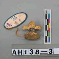 藏品(帽章)的圖片